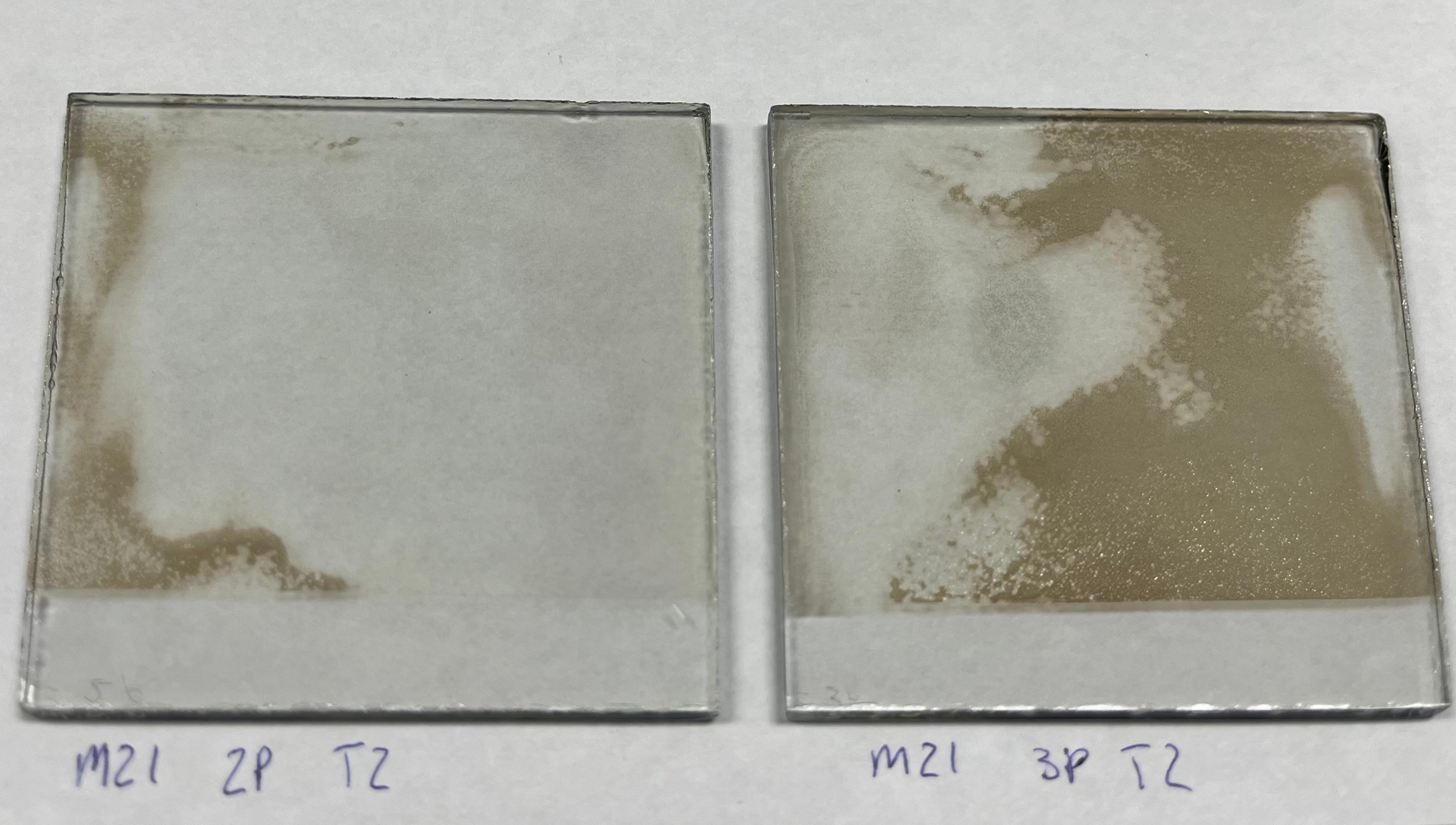 Curing sample preparation